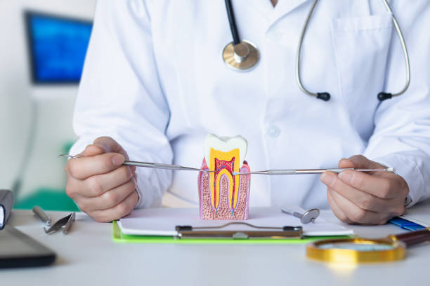 Best Emergency Dentist for Lost Fillings or Crowns in Lampasas, TX